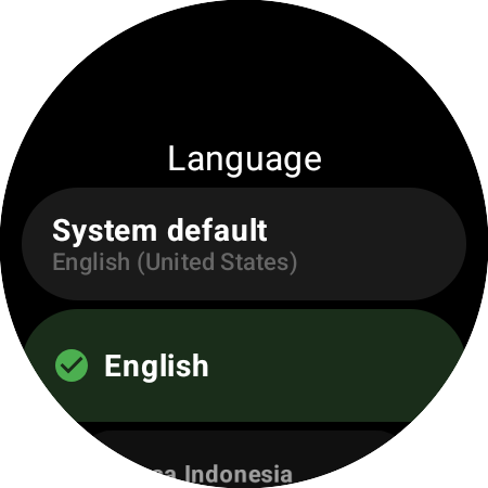 Akıllı saat Roku kumandasında dil listesi — Sistem, English ve 29 dilinden diğerleri