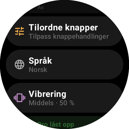 Innstillinger i Roku-fjernkontrollen på en smartklokke – Tilordne knapper, Språk, Vibrering på 50 % og Pro låst opp