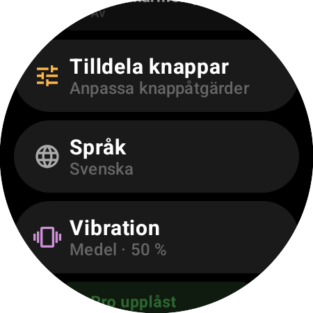 Inställningar i Roku-fjärrkontrollen på en smartklocka – Tilldela knappar, Språk, Vibration på 50 % och Pro upplåst
